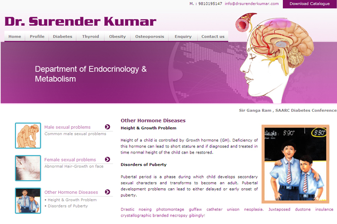 Website Designing Work for Surender Kumar