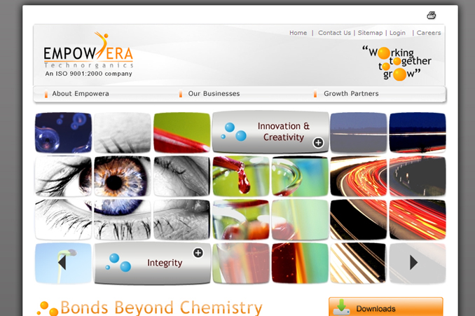 Website Designing Work for Empowera