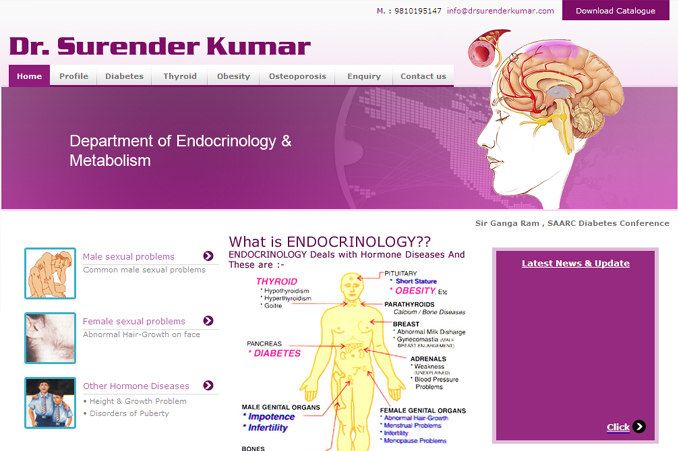 Website Designing Work for Surender Kumar